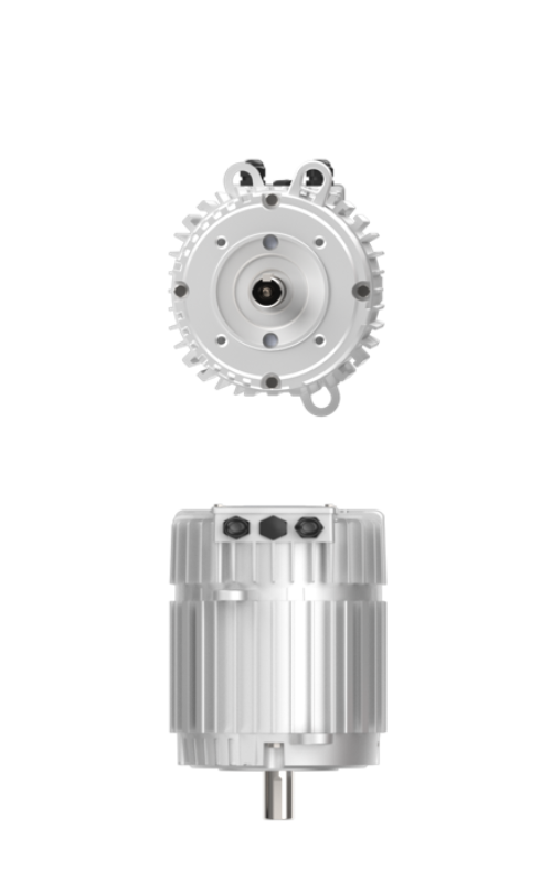 Induction Radial EC Motor