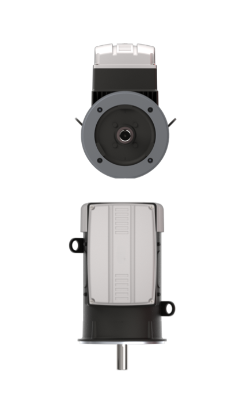 Radial Synch. Reluctance Motor